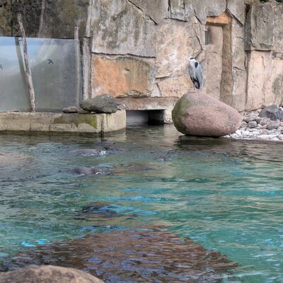 Dresdner Zoo 2026